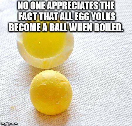 sqp - No One Appreciates The Fact That All Egg Yolks Become A Ball When Boiled. mailip.com