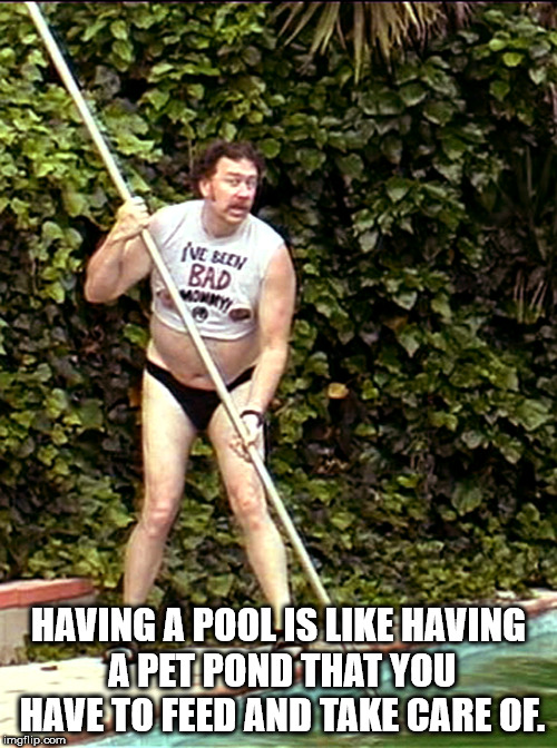 pool boy meme - Ve Been Bad Oyu Having A Pool Is Having A Pet Pond That You Have To Feed And Take Care Of. imgflip.com