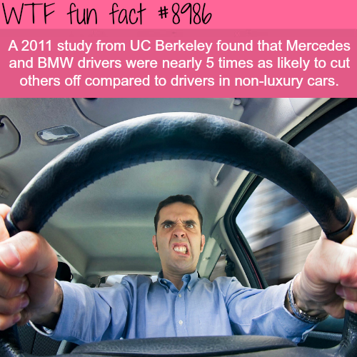 17 Fun Factoids to Squeeze into Your Noggin