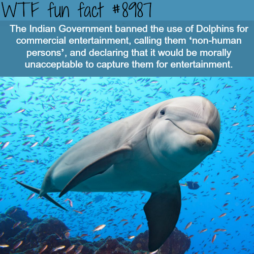 17 Fun Factoids to Squeeze into Your Noggin