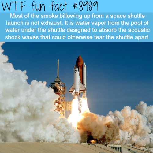 17 Fun Factoids to Squeeze into Your Noggin