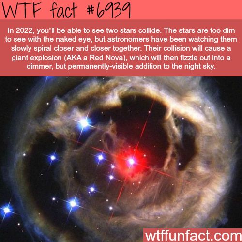 25 Weird and Random Facts