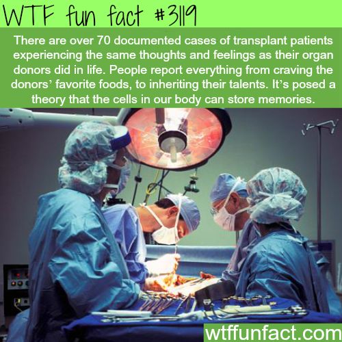 25 Weird and Random Facts