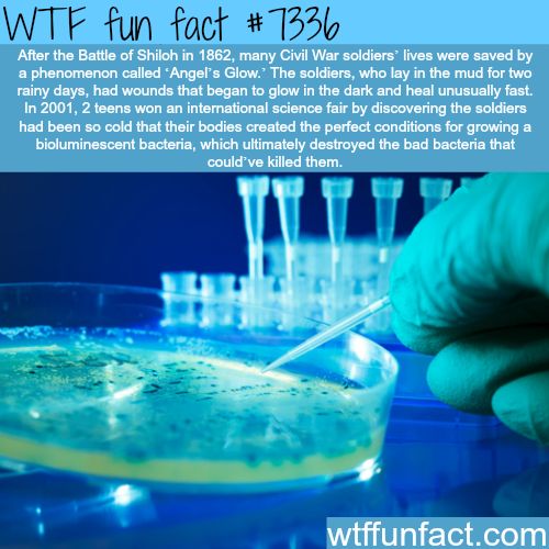 25 Weird and Random Facts