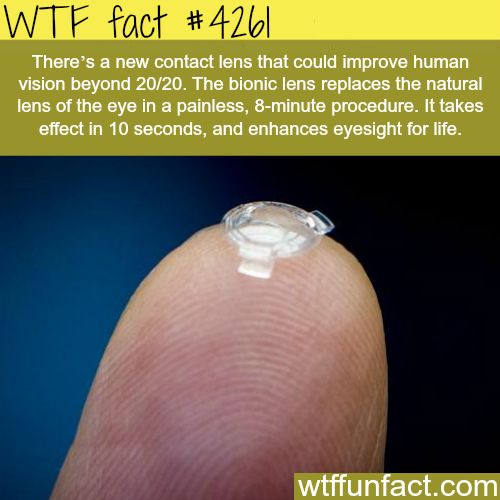 25 Weird and Random Facts