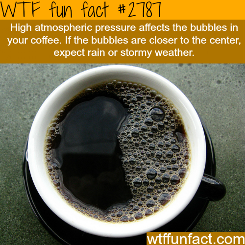 25 Weird and Random Facts