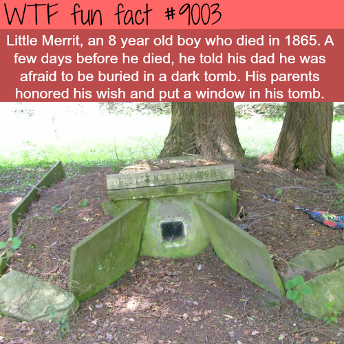 25 Weird and Random Facts