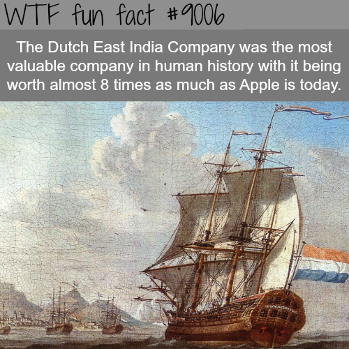 25 Weird and Random Facts
