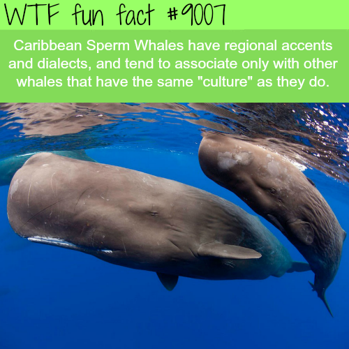 25 Weird and Random Facts