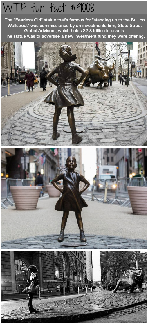 25 Weird and Random Facts