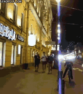 Moving Image Mayhem--Animal Edition