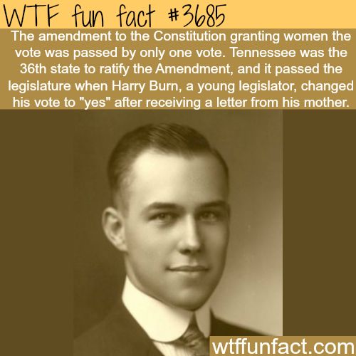 wtf facts - wtf fun facts about women - Wtf fun fact The amendment to the Constitution granting women the vote was passed by only one vote. Tennessee was the 36th state to ratify the Amendment, and it passed the legislature when Harry Burn, a young legisl