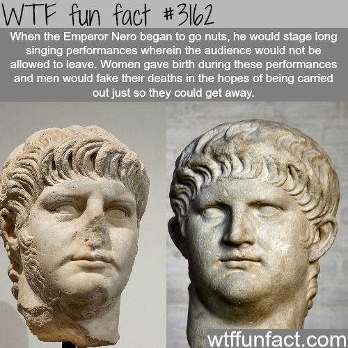 wtf facts - emperor nero - Wtf fun fact When the Emperor Nero began to go nuts, he would stage long singing performances wherein the audience would not be allowed to leave. Women gave birth during these performances and men would fake their deaths in the