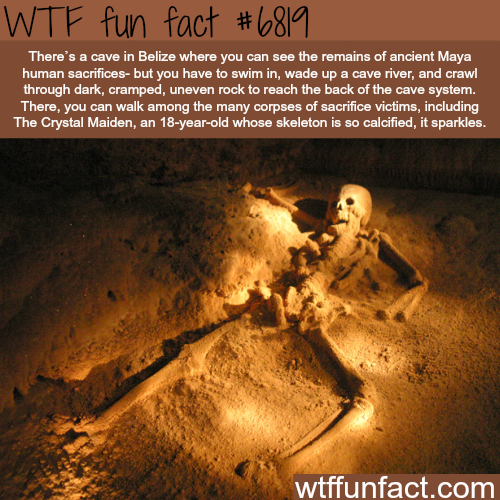 wtf facts - actun tunichil muknal cave - Wtf fun fact There's a cave in Belize where you can see the remains of ancient Maya human sacrifices but you have to swim in, wade up a cave river, and crawl through dark, cramped, uneven rock to reach the back of