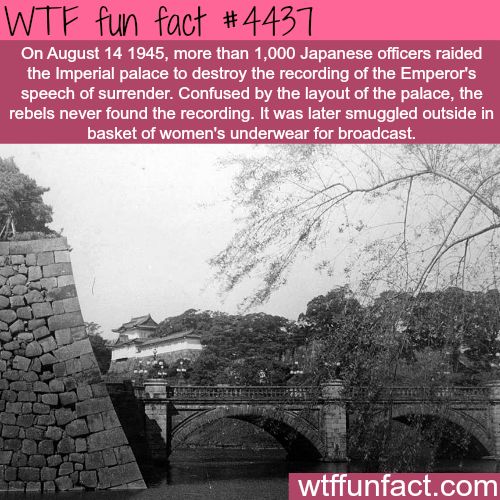 wtf facts - tokyo imperial palace 1945 - Wtf fun fact On , more than 1,000 Japanese officers raided the Imperial palace to destroy the recording of the Emperor's speech of surrender. Confused by the layout of the palace, the rebels never found the recordi