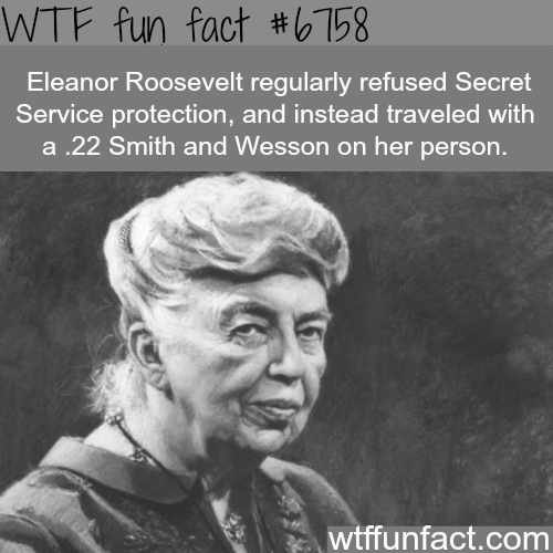 wtf facts - eleanor roosevelt fun fact - Wtf fun fact . Eleanor Roosevelt regularly refused Secret Service protection, and instead traveled with a .22 Smith and Wesson on her person. wtffunfact.com