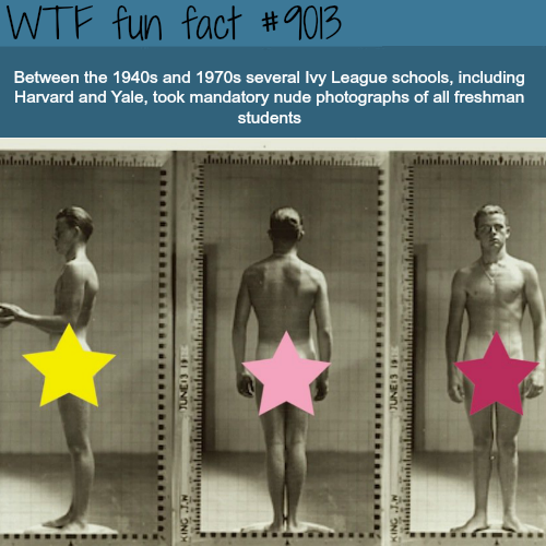 wtf facts - human body wtf fact - Wtf fun fact Between the 1940s and 1970s several Ivy League schools, including Harvard and Yale, took mandatory nude photographs of all freshman students in minimal |