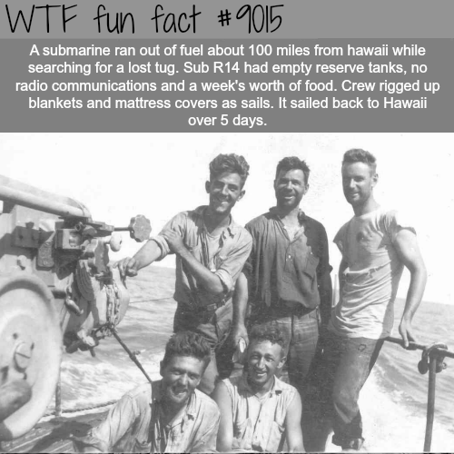 wtf facts - Mobile phone - Wtf fun fact A submarine ran out of fuel about 100 miles from hawaii while searching for a lost tug. Sub R14 had empty reserve tanks, no radio communications and a week's worth of food. Crew rigged up blankets and mattress cover