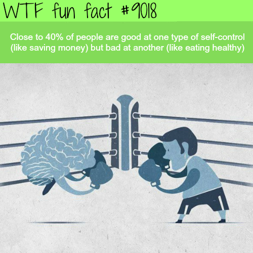 wtf facts - Wtf fun fact Close to 40% of people are good at one type of selfcontrol saving money but bad at another eating healthy