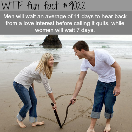 wtf facts - wtf fun facts men - Wtf fun fact Men will wait an average of 11 days to hear back from a love interest before calling it quits, while women will wait 7 days.