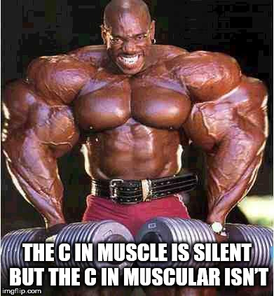 roni kolman - Thec In Muscle Is Silent But The C In Muscular Isnt imgflip.com