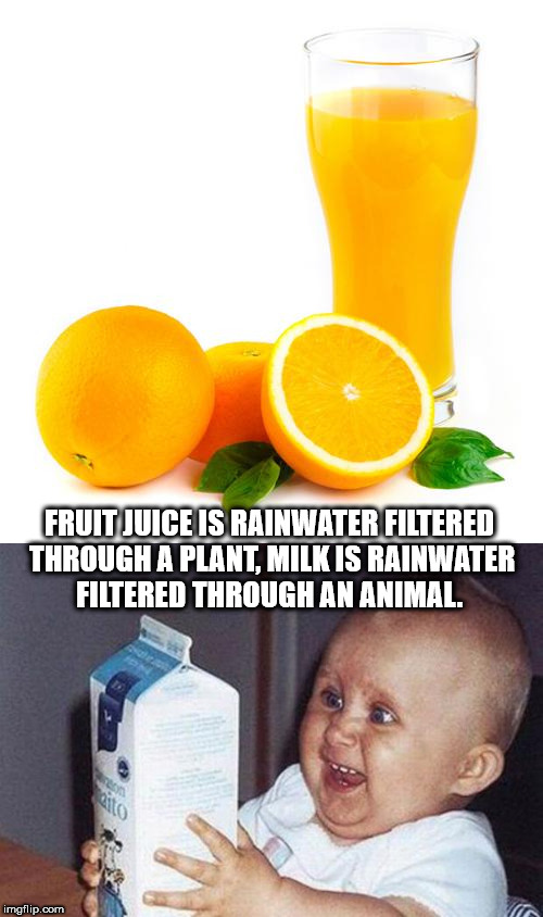 13 year old - Fruit Juice Is Rainwater Filtered Through A Plant, Milk Is Rainwater Filtered Through An Animal. imgflip.com