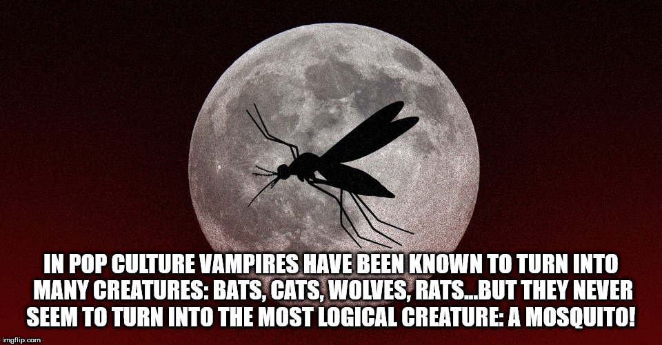 full moon mosquito - In Pop Culture Vampires Have Been Known To Turn Into Many Creatures Bats, Cats, Wolves, Rats...But They Never Seem To Turn Into The Most Logical Creature A Mosquito! imgflip.com