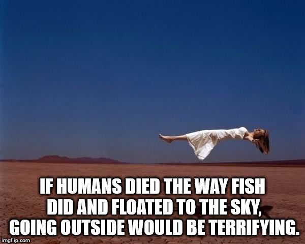 sky - If Humans Died The Way Fish Did And Floated To The Sky Going Outside Would Be Terrifying. imgflip.com