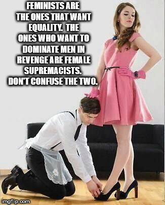 female supremacy - Feminists Are The Ones That Want Equality The Ones Who Want To Dominate Men In Revenge Are Female Supremacists. Dont Confuse The Two. imgflip.com