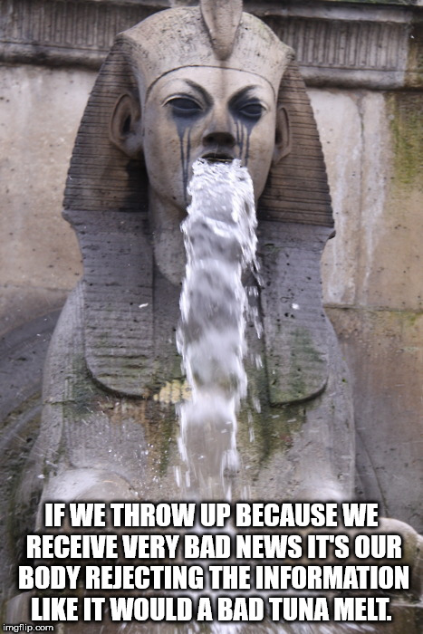 sphinx water meme - If We Throw Up Because We Receive Very Bad News It'S Our Body Rejecting The Information It Would A Bad Tuna Melt. imgflip.com