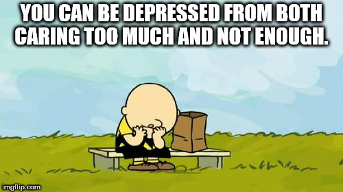 text citation memes - You Can Be Depressed From Both Caring Too Much And Not Enough. TERLien van Imgflip.com