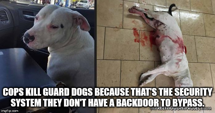 fsu - Cops Kill Guard Dogs Because That'S The Security System They Don'T Have A Backdoor To Bypass. The Recinoughi Projecu.Com imgflip.com