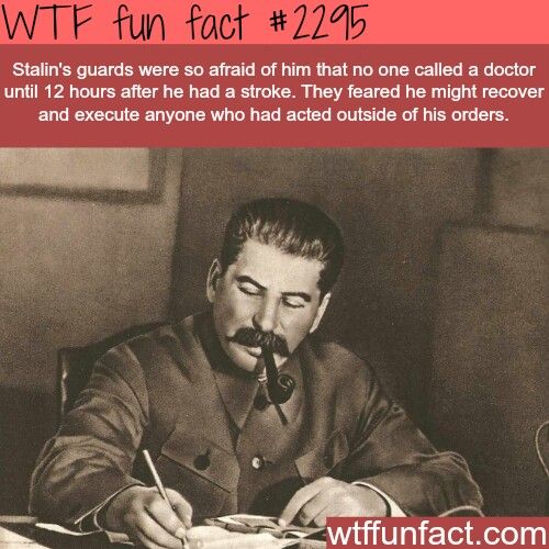 stalin fun facts - Wtf fun fact Stalin's guards were so afraid of him that no one called a doctor until 12 hours after he had a stroke. They feared he might recover and execute anyone who had acted outside of his orders. wtffunfact.com