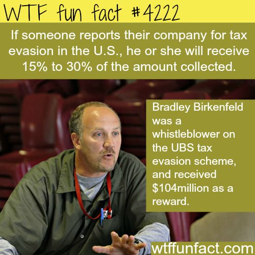 wtf report facts - Wtf fun fact If someone reports their company for tax evasion in the U.S., he or she will receive 15% to 30% of the amount collected. Bradley Birkenfeld was a whistleblower on the Ubs tax evasion scheme, and received $104million as a re