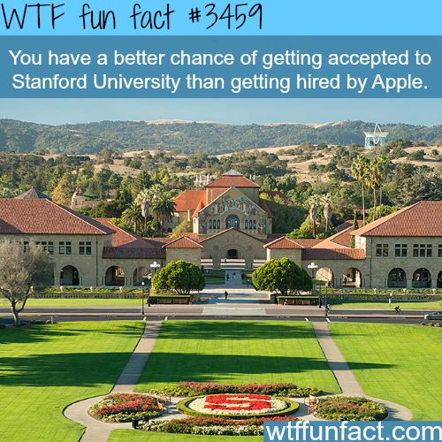 famous university in usa - Wtf fun fact You have a better chance of getting accepted to Stanford University than getting hired by Apple. 2. Kur wtffunfact.com