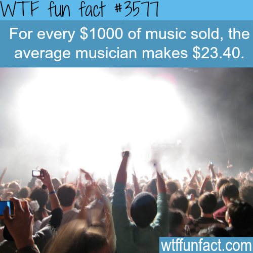 wtf facts musicians - Wtf fun fact For every $1000 of music sold, the average musician makes $23.40. wtffunfact.com