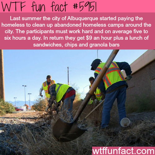 laborer - Wtf fun fact Last summer the city of Albuquerque started paying the homeless to clean up abandoned homeless camps around the city. The participants must work hard and on average five to six hours a day. In return they get $9 an hour plus a lunch