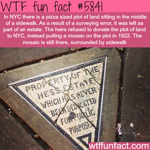wtf fun facts 2016 - Wtf fun fact In Nyc there is a pizza sized plot of land sitting in the middle of a sidewalk. As a result of a surveying error, it was left as part of an estate. The heirs refused to donate the plot of land to Nyc, instead putting a mo