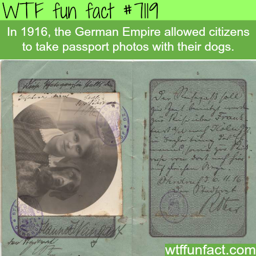 Passport - Wtf fun fact In 1916, the German Empire allowed citizens to take passport photos with their dogs. wb 2. 34 Ewe nele vech life is wtffunfact.com