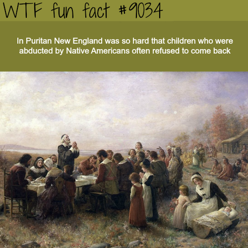 puritans thanksgiving - Wtf fun fact In Puritan New England was so hard that children who were abducted by Native Americans often refused to come back