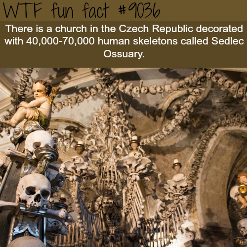 ossuary church czech republic - Wtf fun fact There is a church in the Czech Republic decorated with 40,00070,000 human skeletons called Sedlec Ossuary.