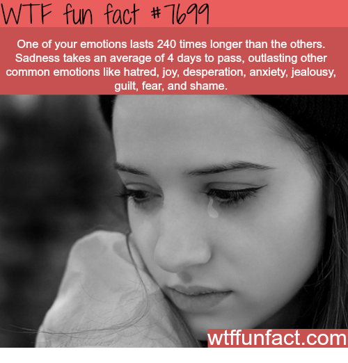 wtf facts emotions - Wtf fun fact One of your emotions lasts 240 times longer than the others. Sadness takes an average of 4 days to pass, outlasting other common emotions hatred, joy, desperation, anxiety, jealousy, guilt, fear, and shame. wtffunfact.com