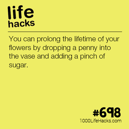 A string of 15 Life Hacks