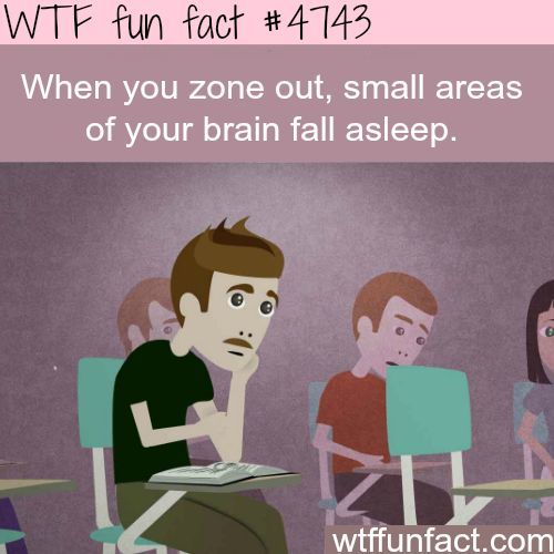 monday wtf fun facts - Wtf fun fact When you zone out, small areas of your brain fall asleep. wtffunfact.com