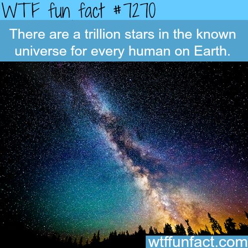 milky way - Wtf fun fact There are a trillion stars in the known universe for every human on Earth. wtffunfact.com