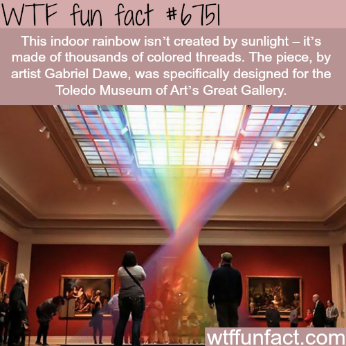 fun facts about rainbows - Wtf fun fact # 6751 This indoor rainbow isn't created by sunlight it's made of thousands of colored threads. The piece, by artist Gabriel Dawe, was specifically designed for the Toledo Museum of Art's Great Gallery. E wtffunfact