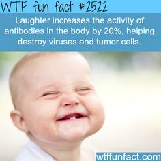 photo caption - Wtf fun fact Laughter increases the activity of antibodies in the body by 20%, helping destroy viruses and tumor cells. wtffunfact.com