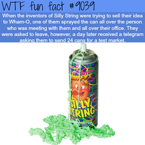 silly string - Wtf fun fact When the inventors of Silly String were trying to sell their idea to WhamO, one of them sprayed the can all over the person who was meeting with them and all over their office. They were asked to leave, however, a day later rec