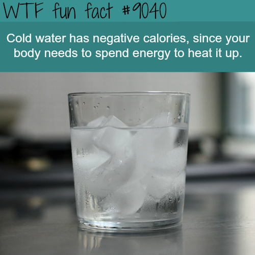 Wtf fun fact Cold water has negative calories, since your body needs to spend energy to heat it up.