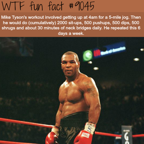 iron mike tyson - Wtf fun fact Mike Tyson's workout involved getting up at 4am for a 5mile jog. Then he would do cumulatively 2000 situps, 500 pushups, 500 dips, 500 shrugs and about 30 minutes of neck bridges daily. He repeated this 6 days a week.